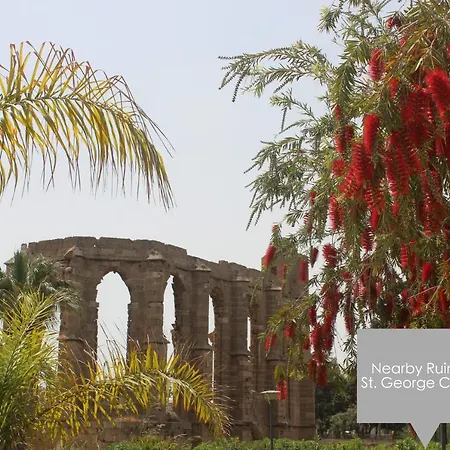 Lavender Homes, Walled Famagusta (Northern Cyprus)